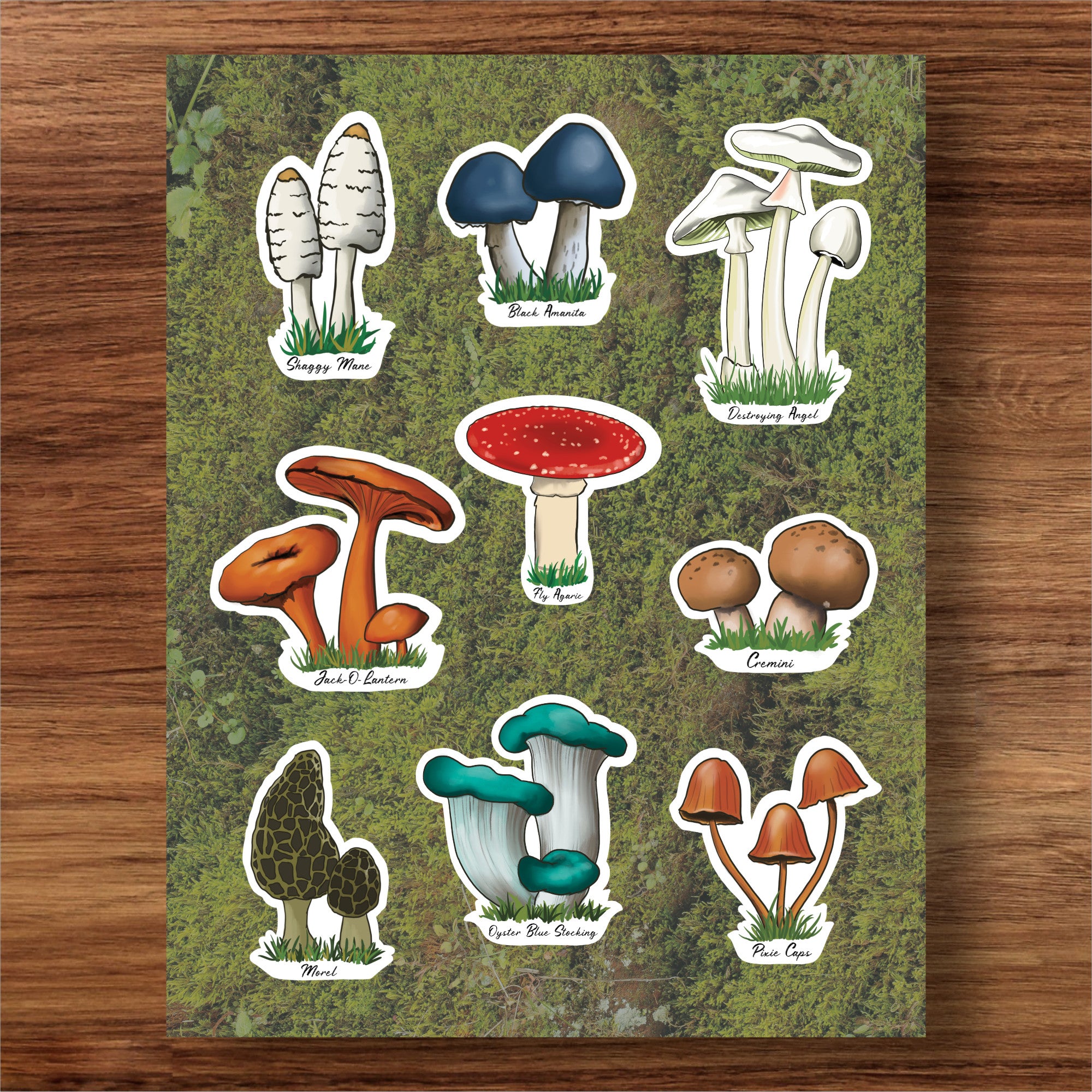 Sticker Sheet - Mushrooms (8x10)