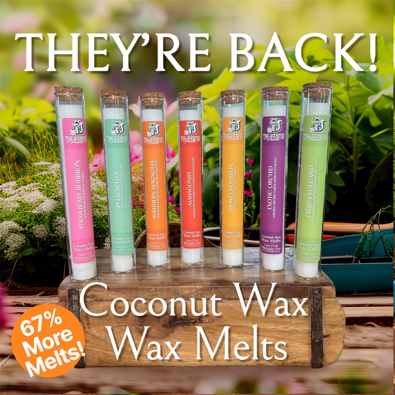 Wax Melts